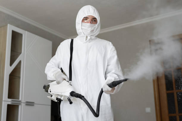 Mold Odor Removal Services in Bayou Gauche, LA