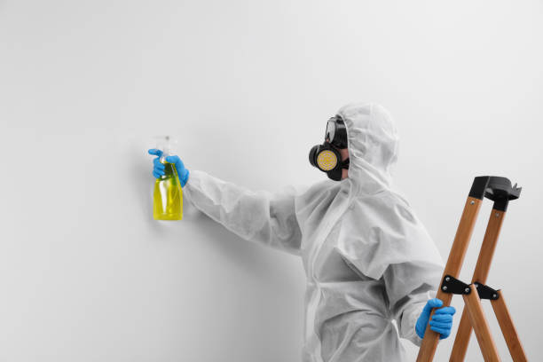 Best Industrial Mold Remediation  in Bayou Gauche, LA